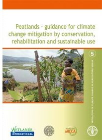 fao Peatland report